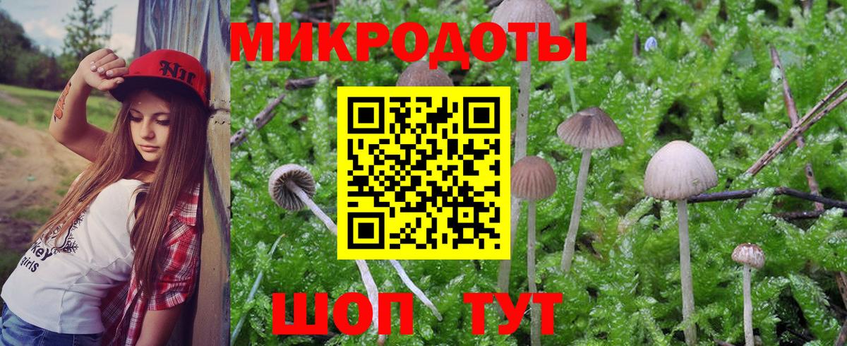 Кисловодск  Галлюциногенные грибы ЛСД  Вход с VPN 