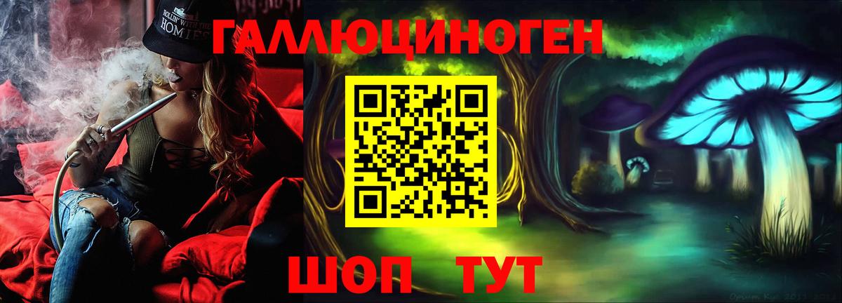 Псилоцибиновые грибы Cubensis Кисловодск